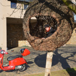 A red scooter parked next to a tree.