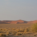 A desert landscape with sand dunes and grass.